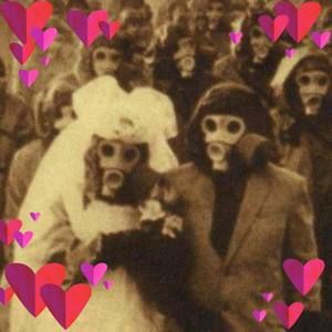 Meet your Posher, Lawrence